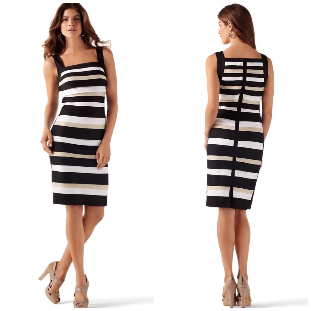 WHBM Dress Tiered Colorblock Sheath Body-Con New